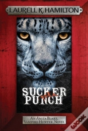 Capa do artigo Sucker Punch