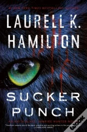 Capa do artigo Sucker Punch