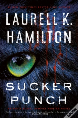 Capa do artigo Sucker Punch