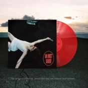 Capa do artigo Sucker - Vinil