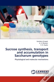 Capa do artigo Sucrose Synthesis, Transport And Accumulation In Saccharum Genotypes