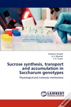 Capa do artigo Sucrose Synthesis, Transport And Accumulation In Saccharum Genotypes