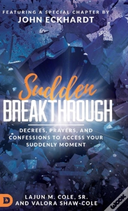 Capa do artigo Sudden Breakthrough