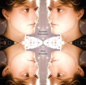 Capa do artigo Sudden Elevation - Vinil