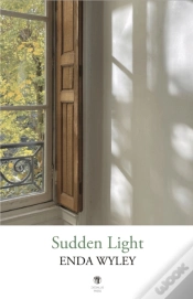 Capa do artigo Sudden Light