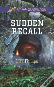 Capa do artigo Sudden Recall
