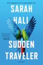Sudden Traveler - Preview