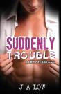 Suddenly Trouble - Preview