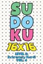 Sudoku 16 X 16 Level 5 - Preview