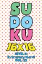 Sudoku 16 X 16 Level 5 - Preview
