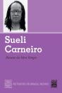 Sueli Carneiro - Preview