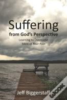 Suffering From God'S Perspective
