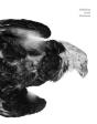 Suffering From Realness - Preview