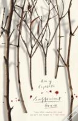 Capa do artigo Sufficient Grace