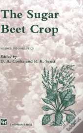 Sugar Beet Crop