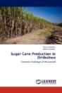 Sugar Cane Production In Zimbabwe - Preview