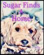 Sugar Finds A Home - Preview