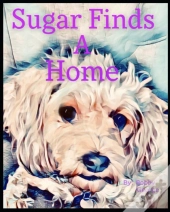 Sugar Finds A Home