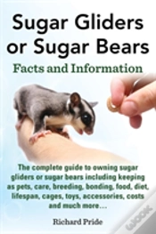 Capa do artigo Sugar Glider Or Sugar Bear