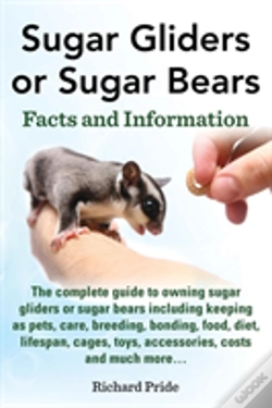 Capa do artigo Sugar Glider Or Sugar Bear