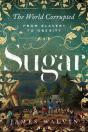 Sugar - Preview