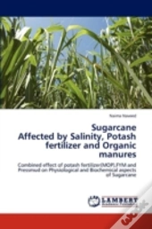 Sugarcane Affected By Salinity, Potash Fertilizer And Organic Manures