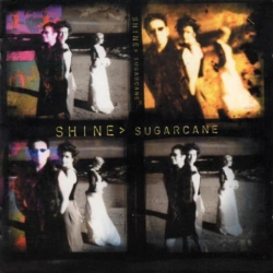 Capa do artigo Sugarcane - CD