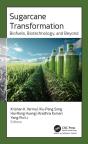 Sugarcane Transformation - Preview