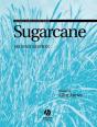 Sugarcane - Preview