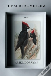 Capa do artigo Suicide Museum