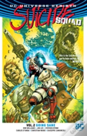Capa do artigo Suicide Squad Vol. 2: Going Sane (Rebirth)
