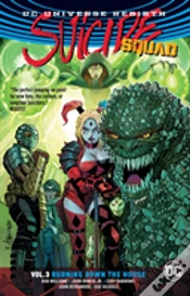 Capa do artigo Suicide Squad Volume 3