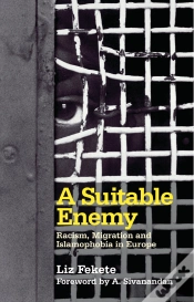 Capa do artigo Suitable Enemy