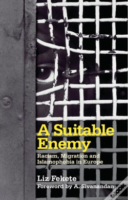 Capa do artigo Suitable Enemy
