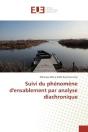 Suivi Du Phenomene D'Ensablement Par Analyse Diachronique - Preview