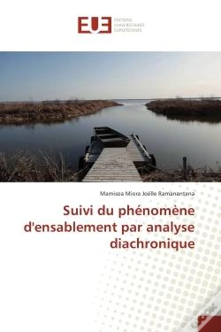 Capa do artigo Suivi Du Phenomene D'Ensablement Par Analyse Diachronique