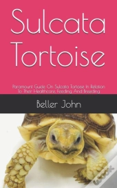 Sulcata Tortoise