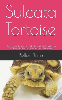 Capa do artigo Sulcata Tortoise