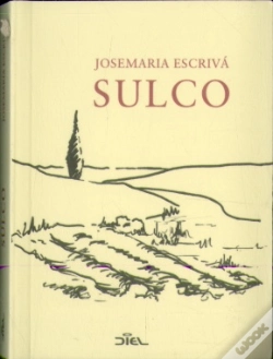 Capa do artigo Sulco
