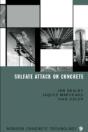 Sulfate Attack On Concrete - Preview