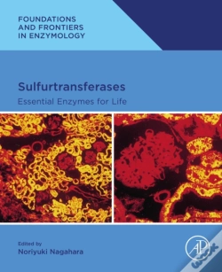Capa do artigo Sulfurtransferases