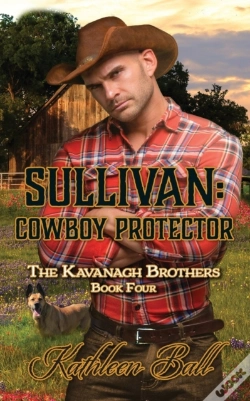 Capa do artigo Sullivan
