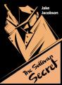 Sullivan Secret - Preview