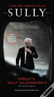 Capa do artigo Sully