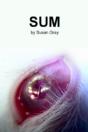 Sum - Preview