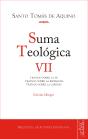Suma Teologica (Vii)   - Preview