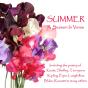 Summer - A Season In Verse - Preview