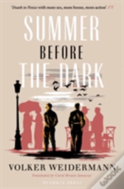 Capa do artigo Summer Before The Dark