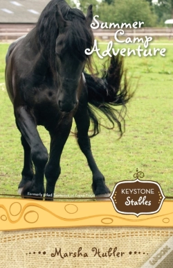 Capa do artigo Summer Camp Adventure