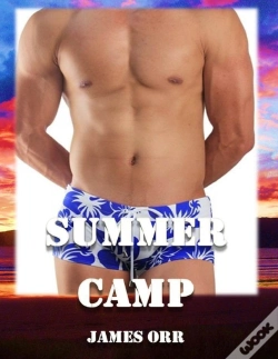 Capa do artigo Summer Camp